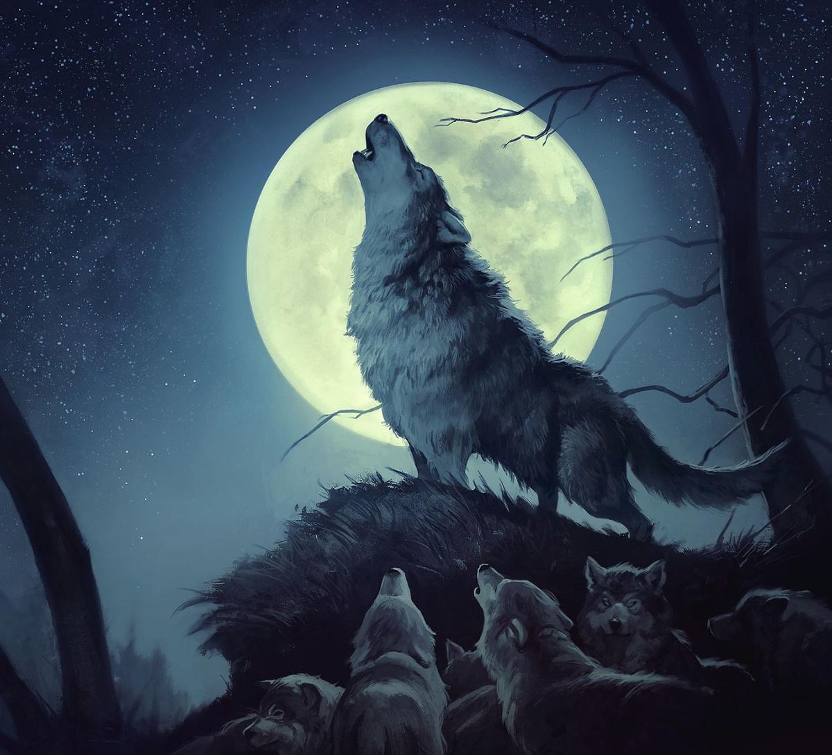 yengec-dolunayi-kurt