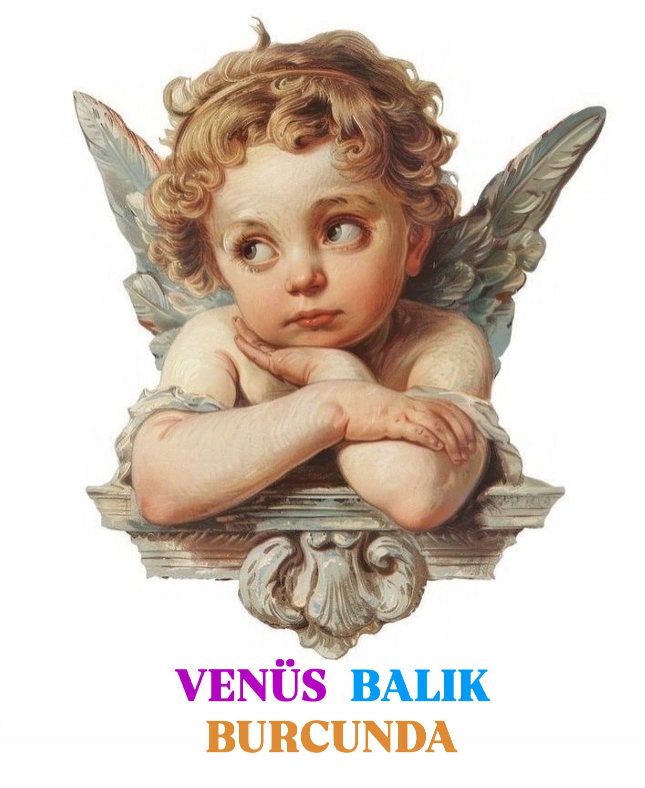 venus-balik-burcunda